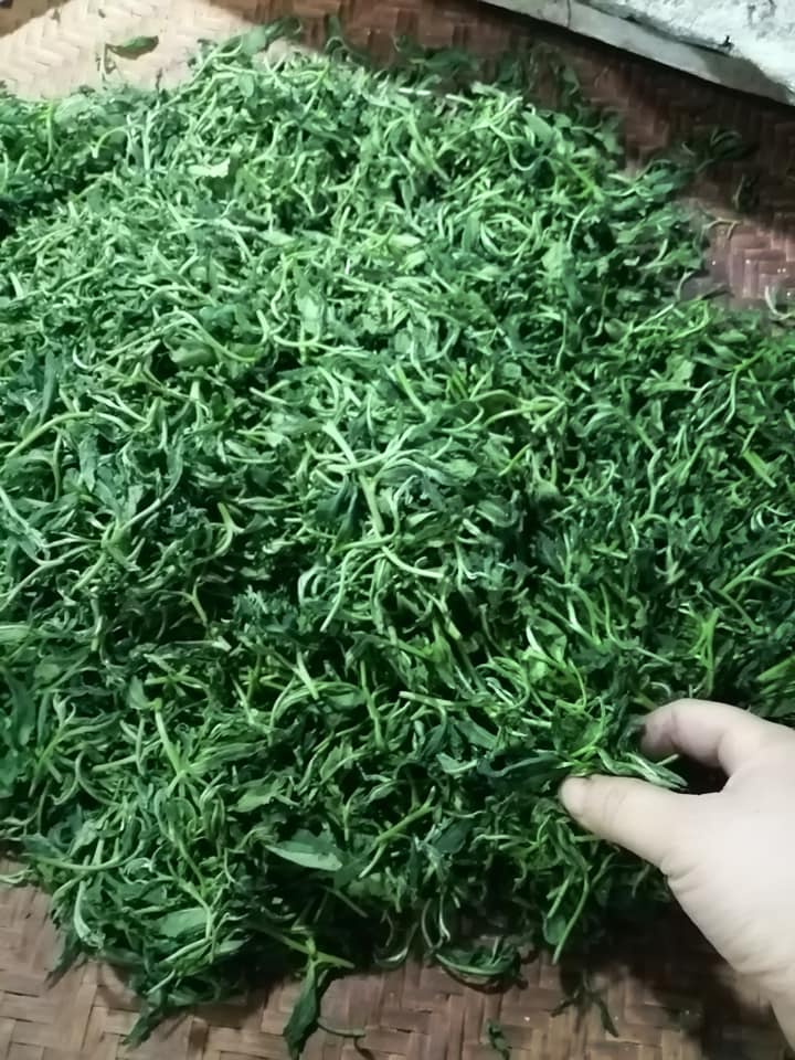 tra-dinh-ngoc-thuong-hang